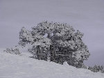 /Ski/2007/Images/1407/mini-Photo FRe 042Icon.jpg